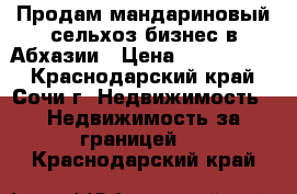 Продам мандариновый сельхоз-бизнес в Абхазии › Цена ­ 1 000 000 - Краснодарский край, Сочи г. Недвижимость » Недвижимость за границей   . Краснодарский край